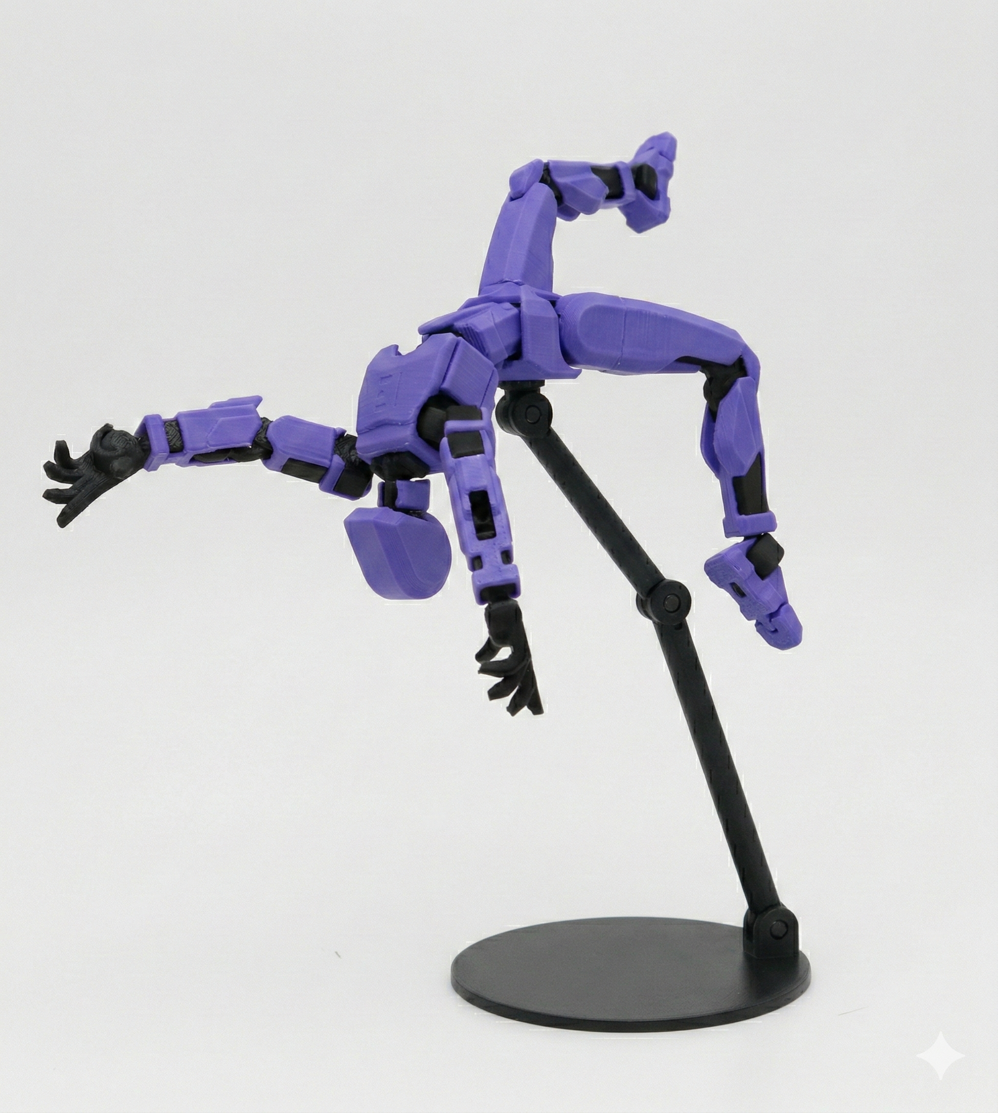 Dummy 13 | Display Stand